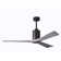 Patricia Ceiling Fan with LED Lights