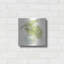 Brayden Studio «Plant Big Leaf III» par Chris Paschke-1681758795