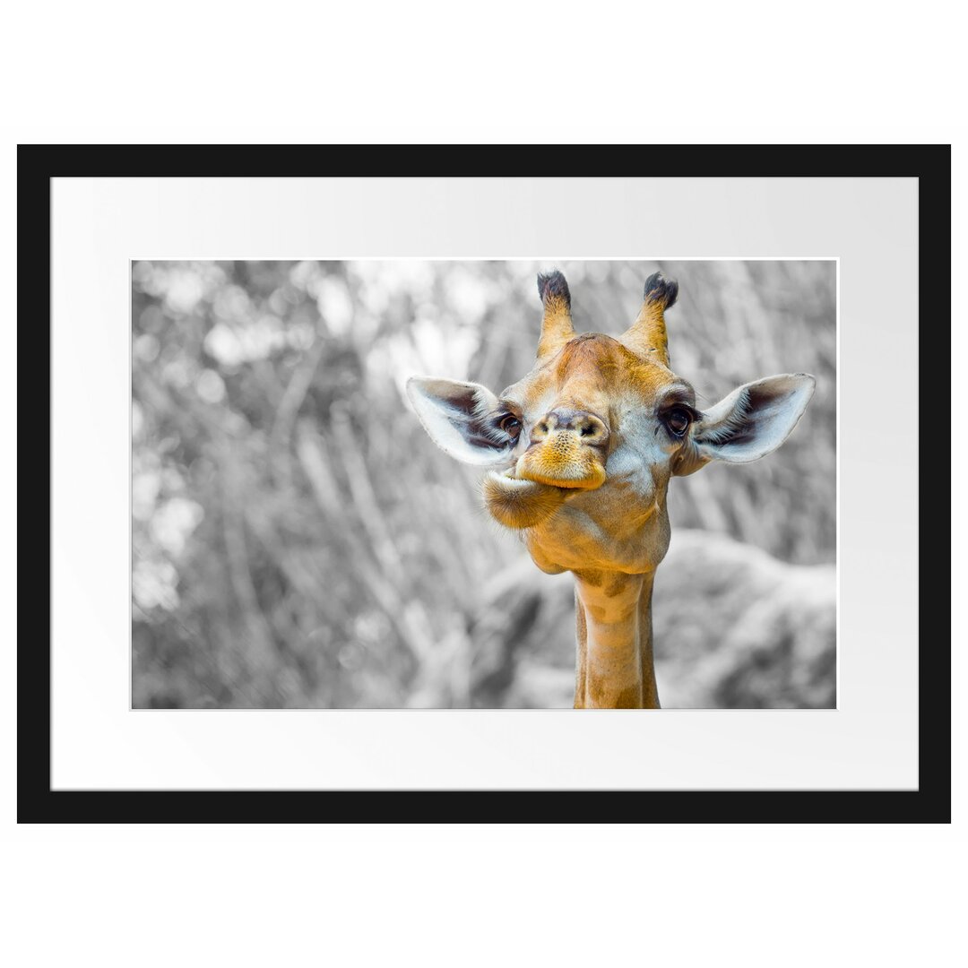 Gerahmtes Poster Giraffe in der Natur