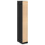 Manufactured Wood Wardrobe