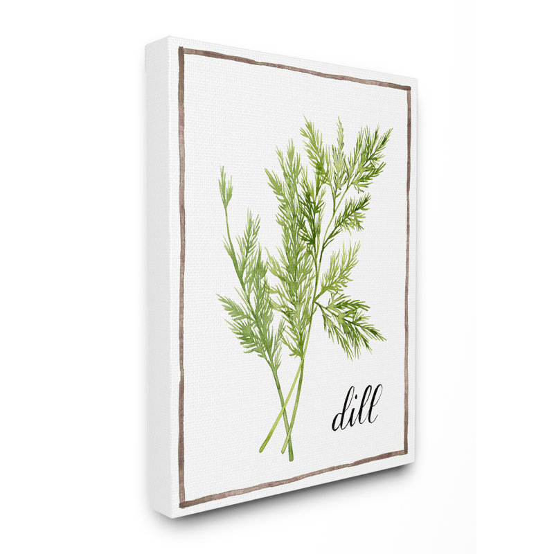 «Herb Illustration Dill with Script», reproduction de peinture à l'aquarelle, Toile tendue, H 30 po x l 24 po x P 1,5 po