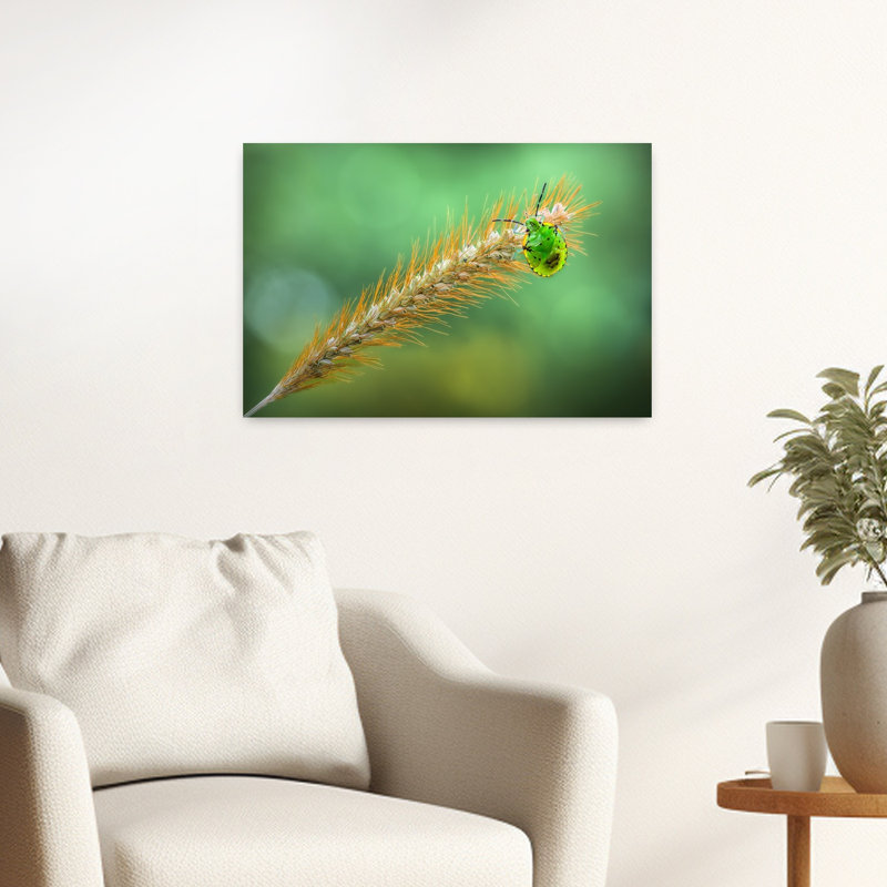 Vibrant Insect On Grass Vibrant Contemporary Nature Plant Wall Art Print 1 Piece Wrapped Canvas Wall Art