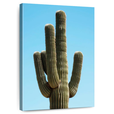 Harnek le cactus Saguaro