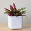 Ensemble de 3 pots à fleurs Eziah-1549086067