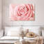 Rose fraîche Harnek-107471637