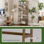 150 cm H x 53 cm W Standard Bookcase-839888661