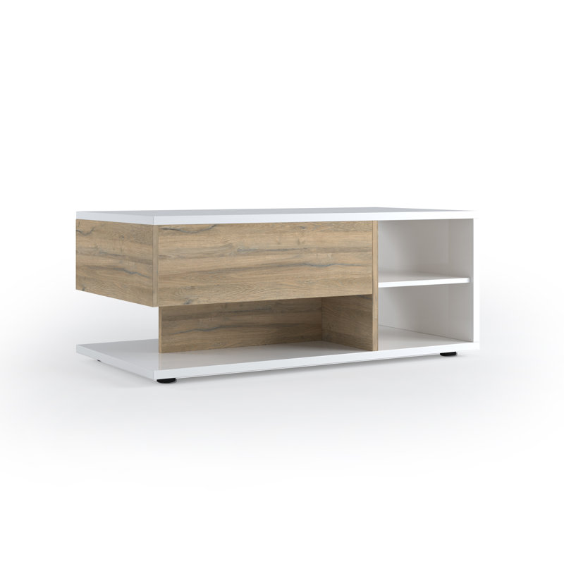 Evalynn Block Coffee Table with Storage