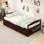 Lit plateforme simple avec rangement et tiroirs-564685113