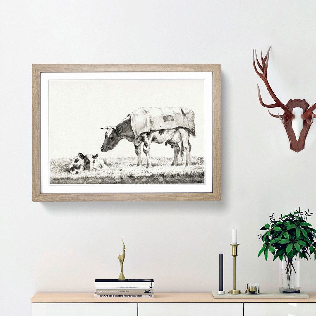 Cow with its Calf by Jean Bernard - Picture Frame Drawing Print