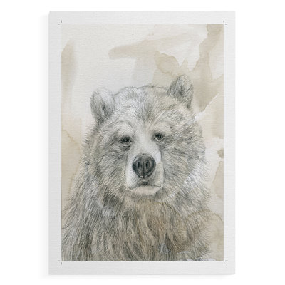 Woodland Sketch Bear -Canvas Print Only - NOT FRAMED
