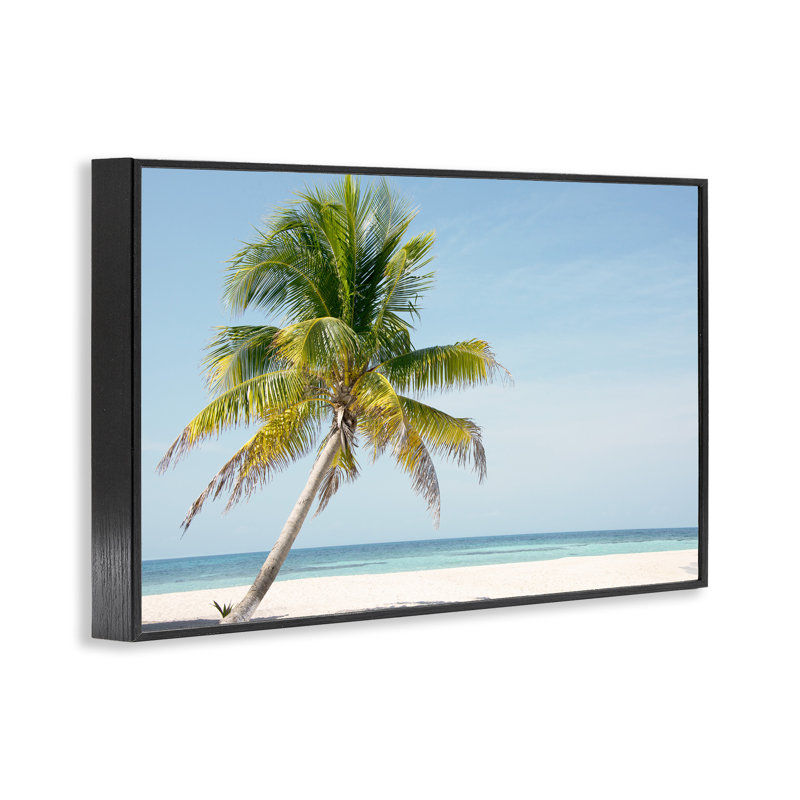 Giclée encadrée de palmier Barrier Reef Island, design par Danita Delimont, H 12 po x l 18 po, Giclée encadrée noir minuit
