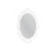 Mccants Wall Mirror with Shelves-731997994-795447906