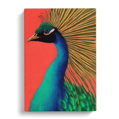 Attractive Peacock - Wrapped Canvas
