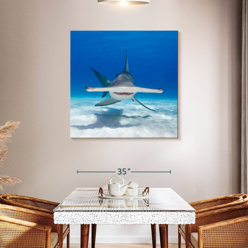 Brampt Hammerhead Shark Swimming, 39'' H x 39'' W