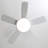 Damecia 42'' 5 Blade Modern Ceiling Fan With Light and Remote Control-408388943