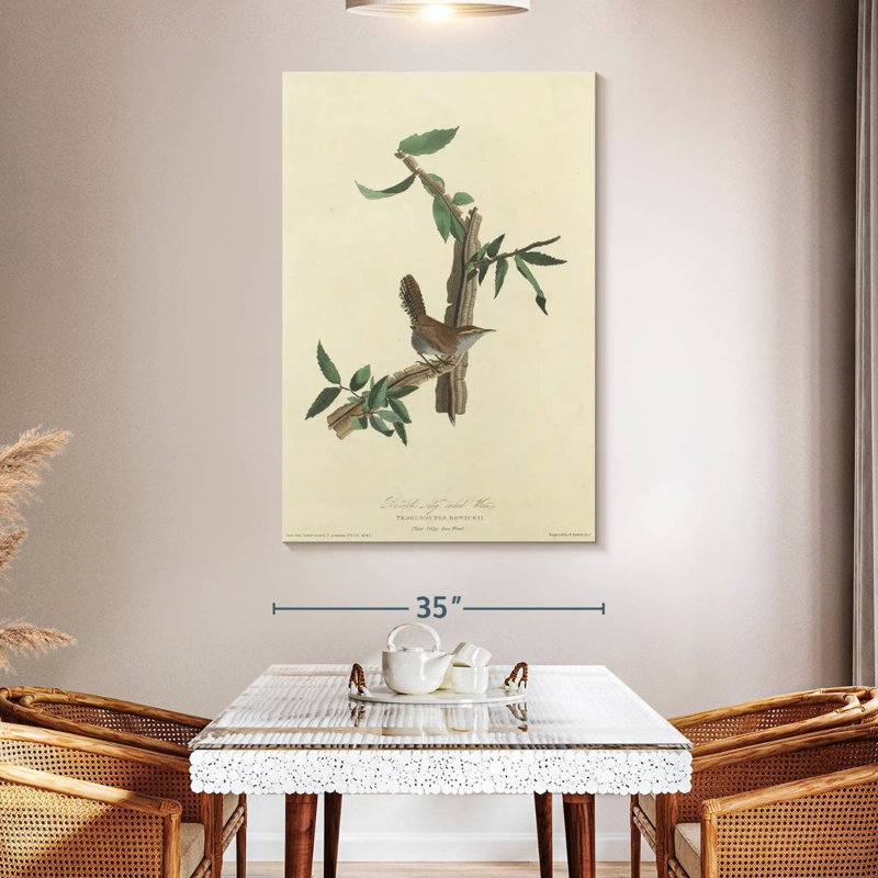 Keiri Bewick's Wren, 51" H x 34" W