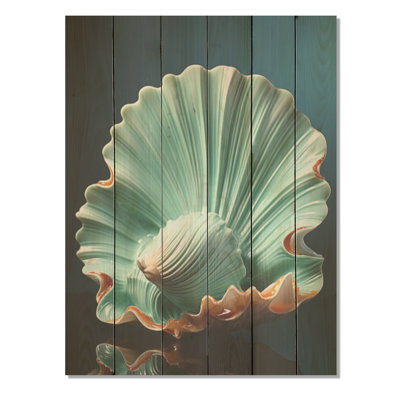 Green Clam Ocean Treasures I - Clam Wood Wall Art On Natural Pine Wood