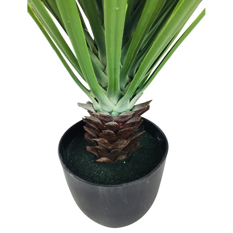 68cm Pineapple Tree in Pot