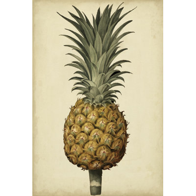 «Brookshaw Antique Pineapple II», peinture sur toile