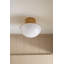 Lettie 1 - Light Flush Mount-164942383-197771604