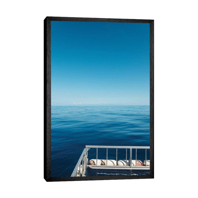 Shark Swim by Bethany Young - Print on Canvas, 66.04cm H x 45.72cm W x 3.81cm D, Black Framed