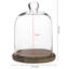 Khyanna 2 Piece Dome Cloche Set