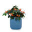 Pot à fleurs 3 Modern Modern Design-174662154