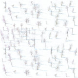 Birch Trees 10' L x 24" W Wallpaper Roll