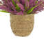 Heather dans un pot de paille-1477215127