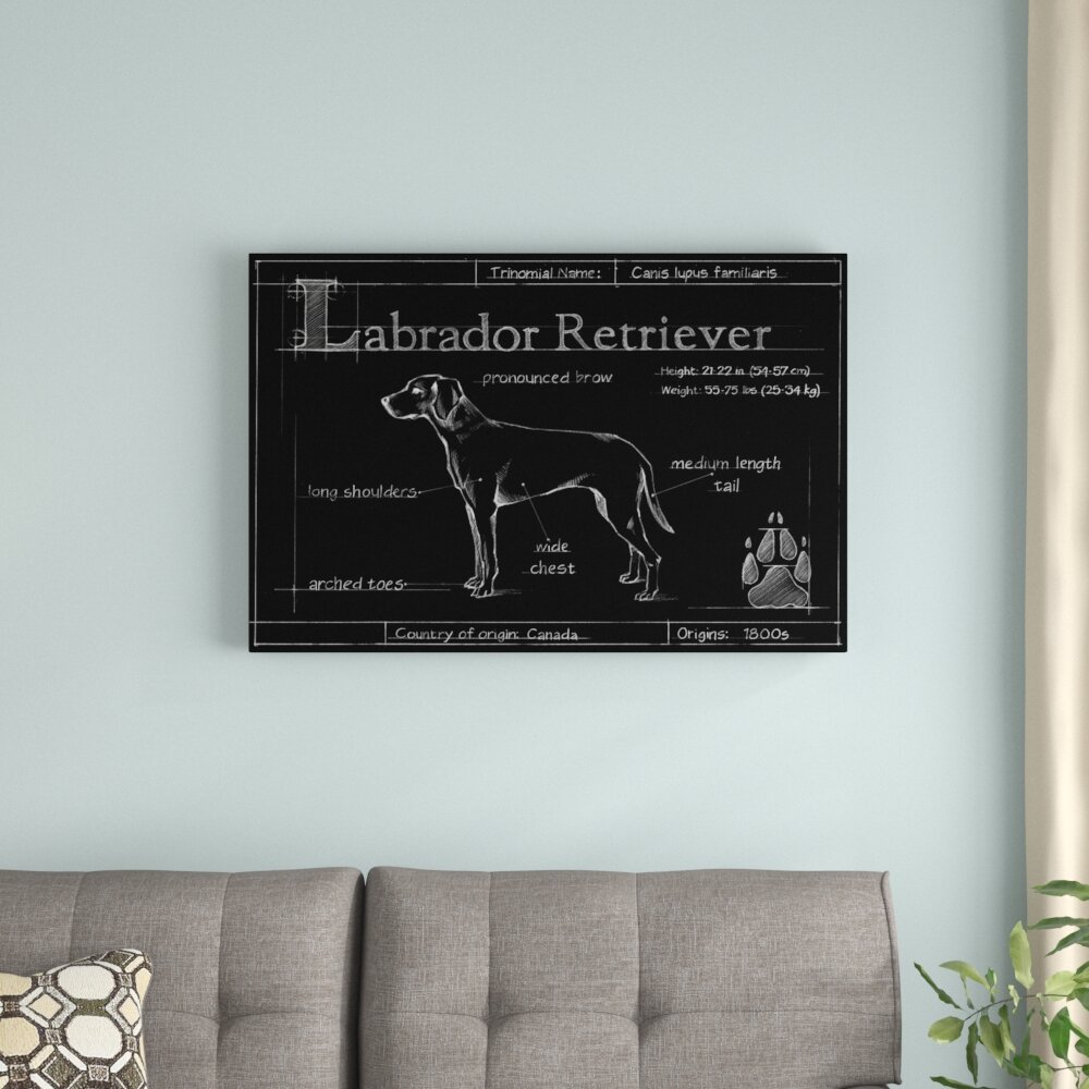 Leinwandbild Blueprint Labrador Retriever von Ethan Harper