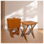 Ensemble de 4 plateaux pliants Karnesh-96678734