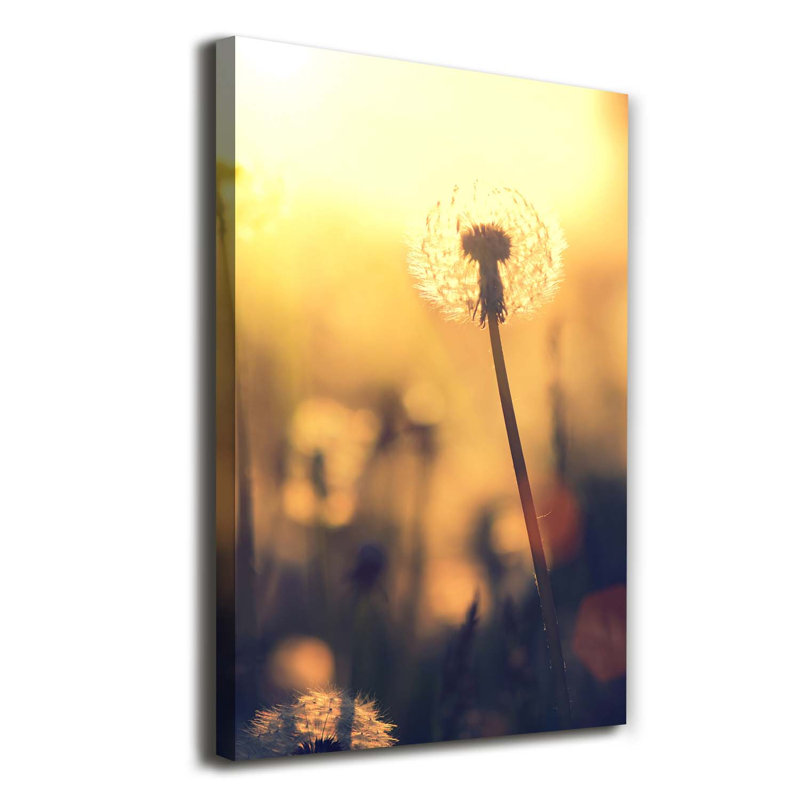 Dandelion - Wrapped Canvas Print