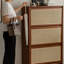 Armoire à chaussures 24 pièces Vine