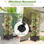 Lit de jardin avec treillis