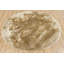 Mercury Area Rug in Beige-98559659