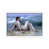 White Framed is unavailable