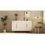 Commodes / armoires décoratives-1949522496
