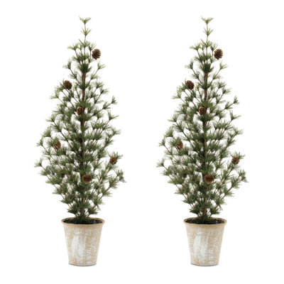 Mini pin en pot (ensemble de 2)