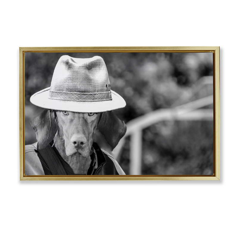 «Country Cowboy Dog» par SD graphiques Studio, Cadre flottant métallique doré, H 17 po x l 25 po