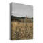 Impression sur toile encadrée-1245433401