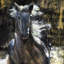 Alain Bonnec - Wrapped Canvas Painting-20693763