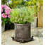 Seraphine Weather Resistant Planter Feet