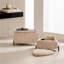 Ensemble de 2 repose-pieds rembourrés avec rangement, repose-pieds et tabouret de maquillage (ensemble de 2)-317896132