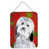 Bichon havanais