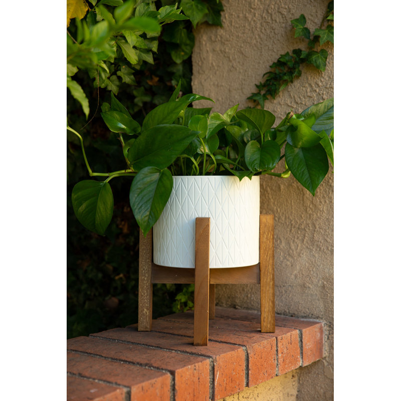 Ardelia Ceramic Pot Planter