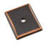 Metal Knob Backplate-1654016450