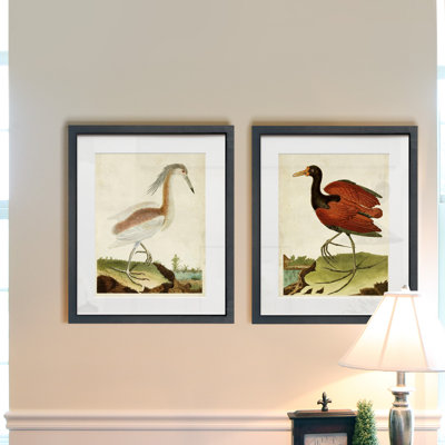 Heron portrait III-ensemble de 2 reproductions d’art sur papier encadrée