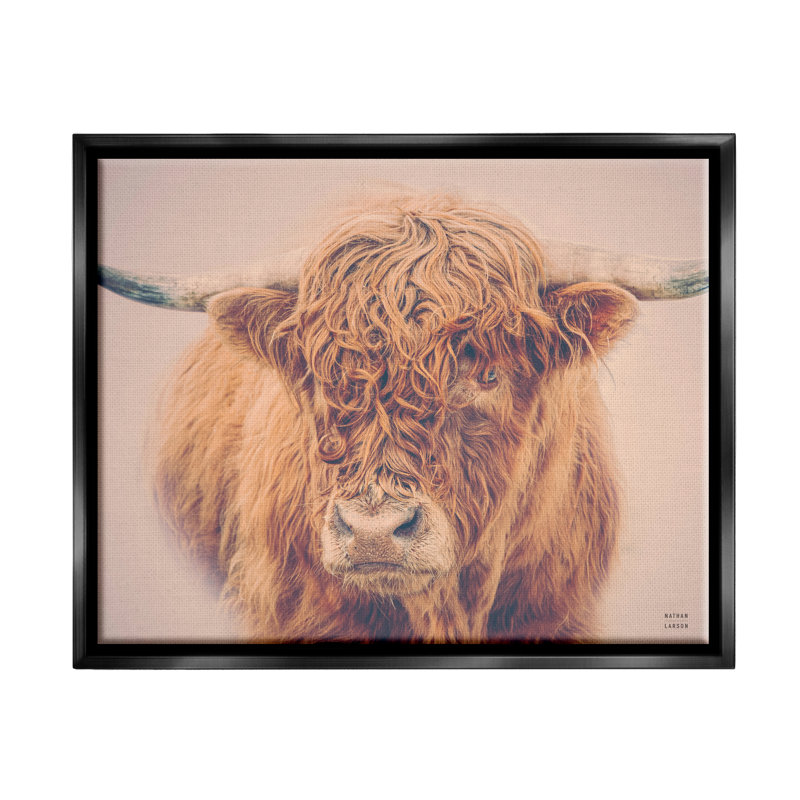 Highland in Winter Fog Brown Cow - Photographie à cadre flottant sur toile, H 17 po x l 21 po x P 1,7 po