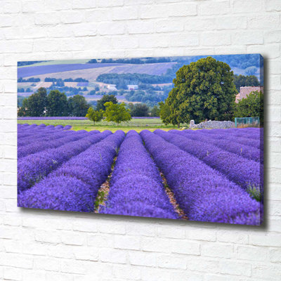 Lavender Field - Wrapped Canvas Print