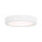 Raed LED Flush Mount in White-794706425-794706428